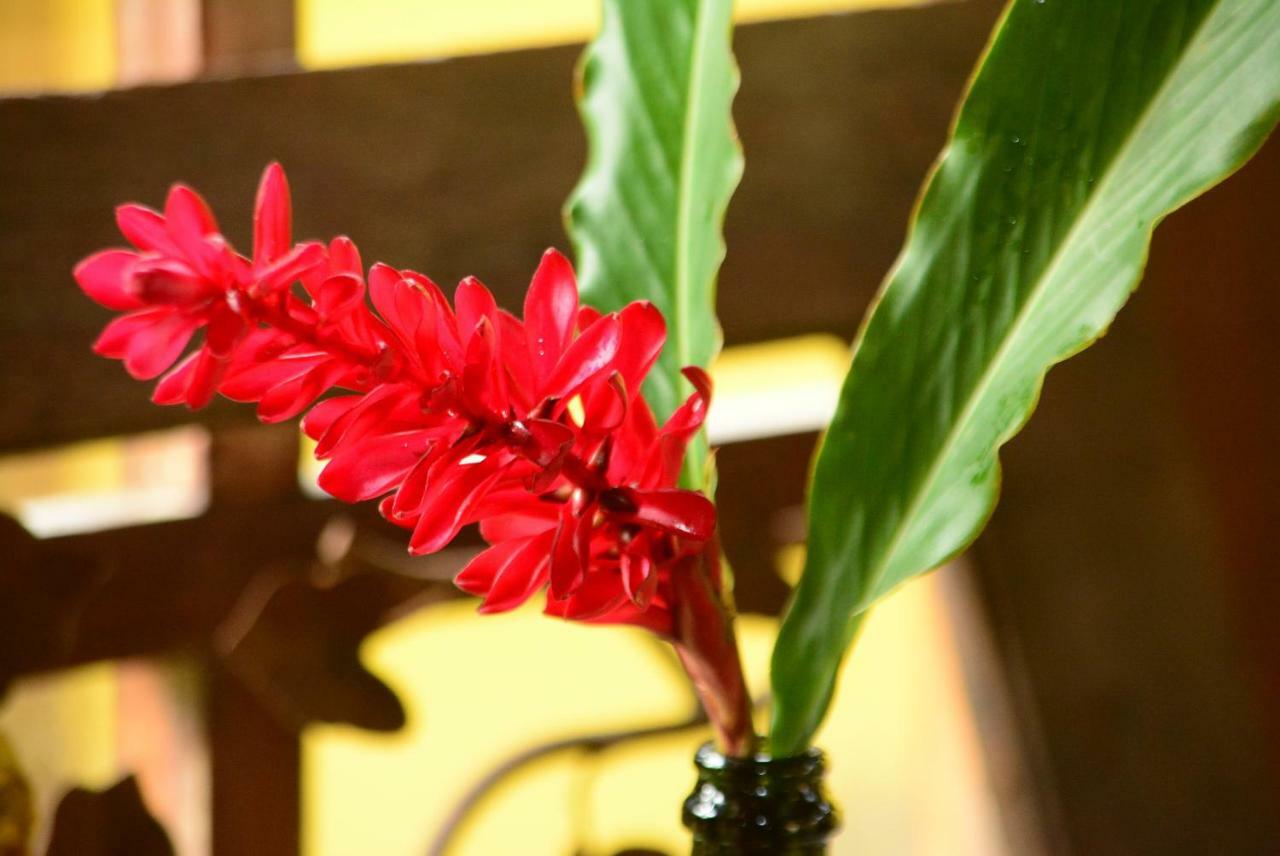 Hostal Vila Bonete
